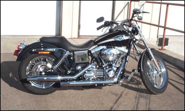 Motorcycle Saddlebag Bracket for Harley-Davidson FXDL Low Rider 